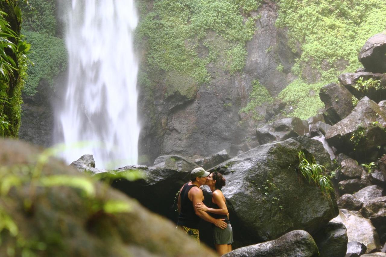 Отель Jungle Bay Dominica Soufriere Экстерьер фото